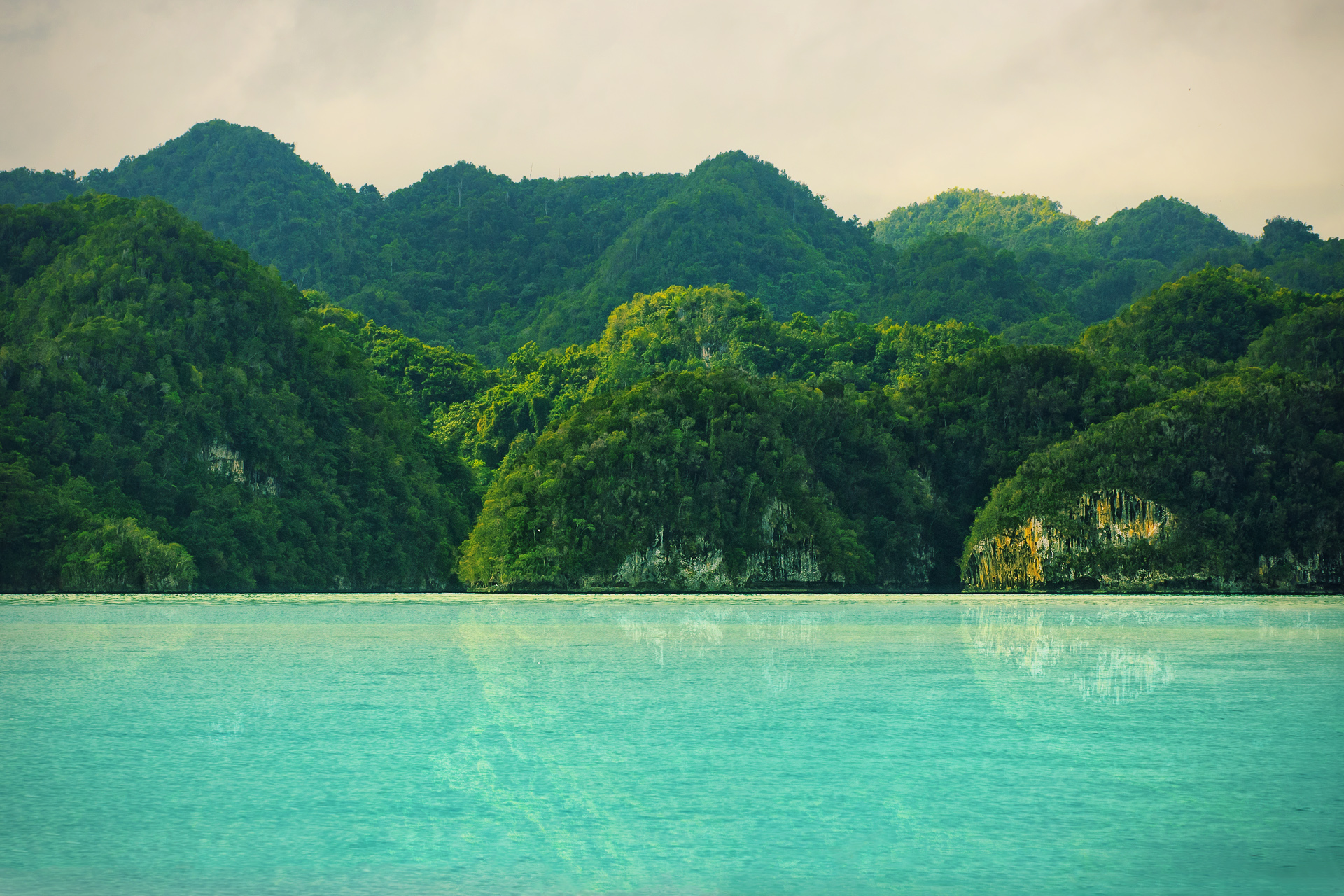 Parque Nacional Los Haitises — Destino en República Dominicana