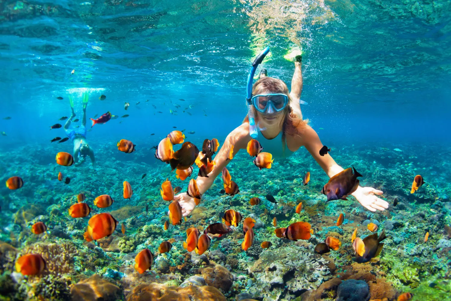 Buceo y Snorkel — Destino en República Dominicana