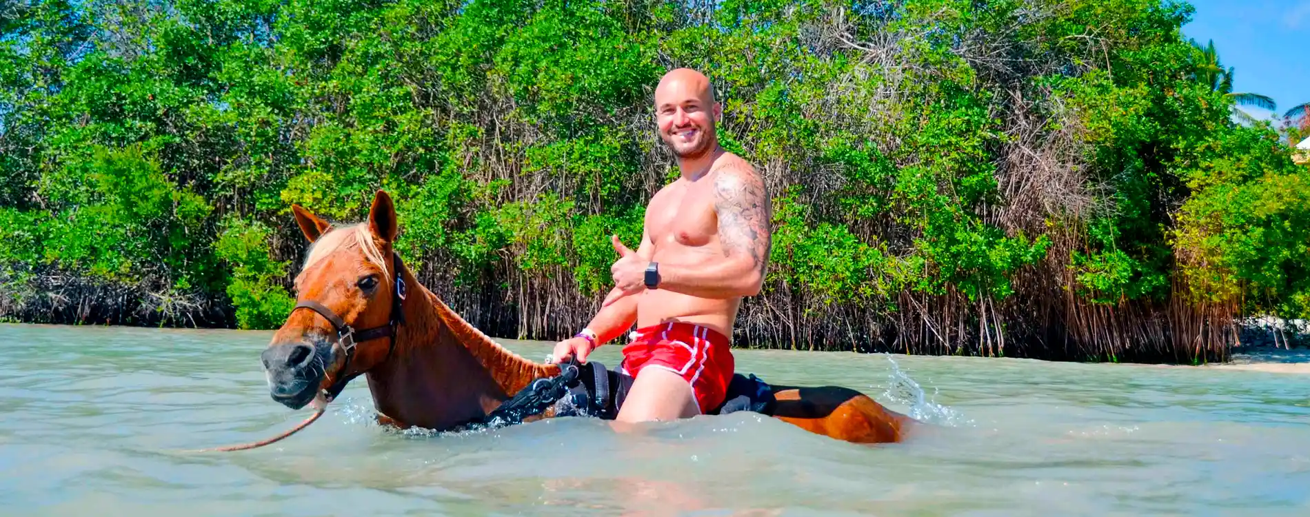 Caballos en el Agua